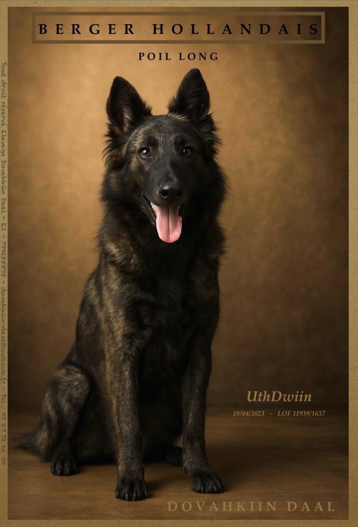 Uthdwiin Dovahkiin Daal