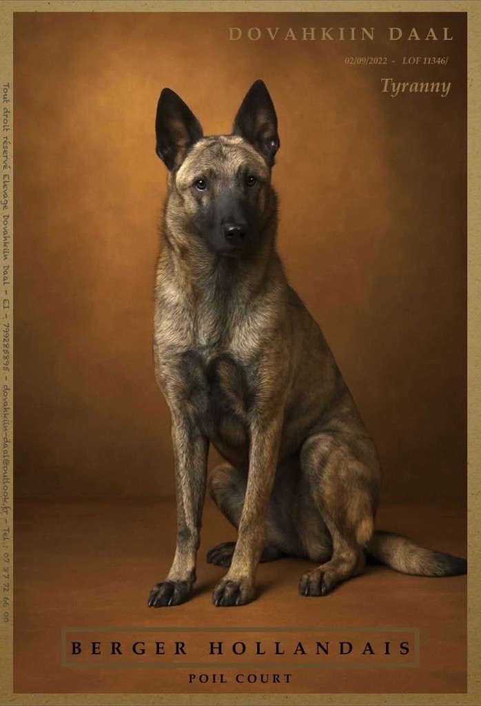 Tyranny dragon's Dovahkiin Daal