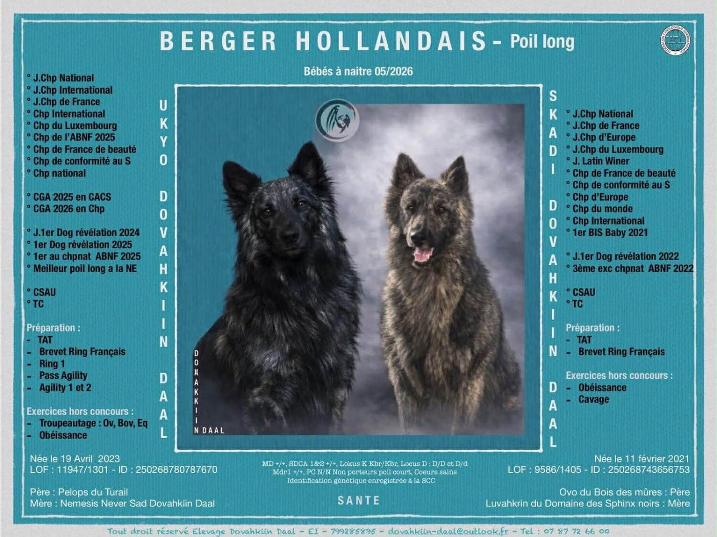 Skadi et Ukyo ont été unis avec succès